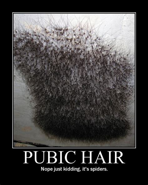 naked female pubic hair|pubic.